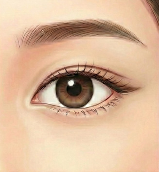 末広型の比較画像